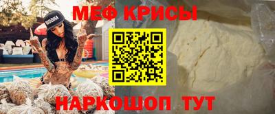 бошки Кингисепп