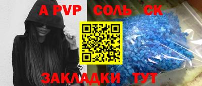бошки Кингисепп