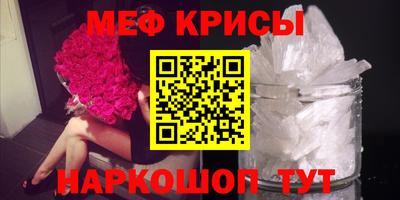 бошки Кингисепп