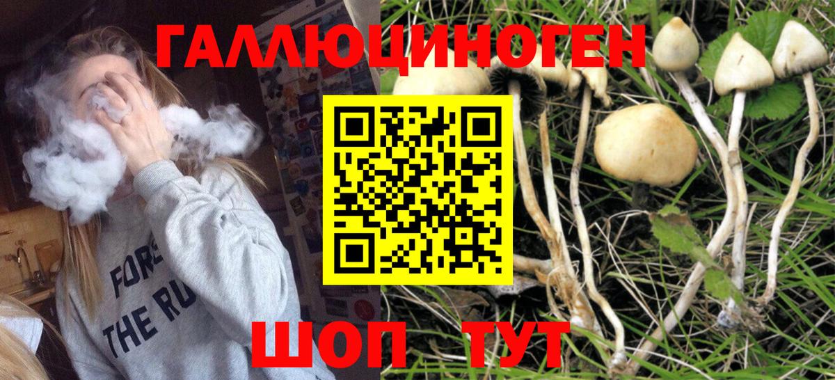 Феодосия  Галлюциногенные грибы Magic Shrooms  сколько стоит  Вход с VPN 
